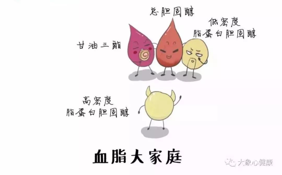  p>总胆固醇是指血液中所有脂蛋白所含胆固醇之总和.