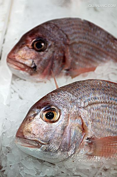  p>黑鲷(学名: i>acanthopagrus schlegelii /i>)是鲷科,黑鲷属鱼类.