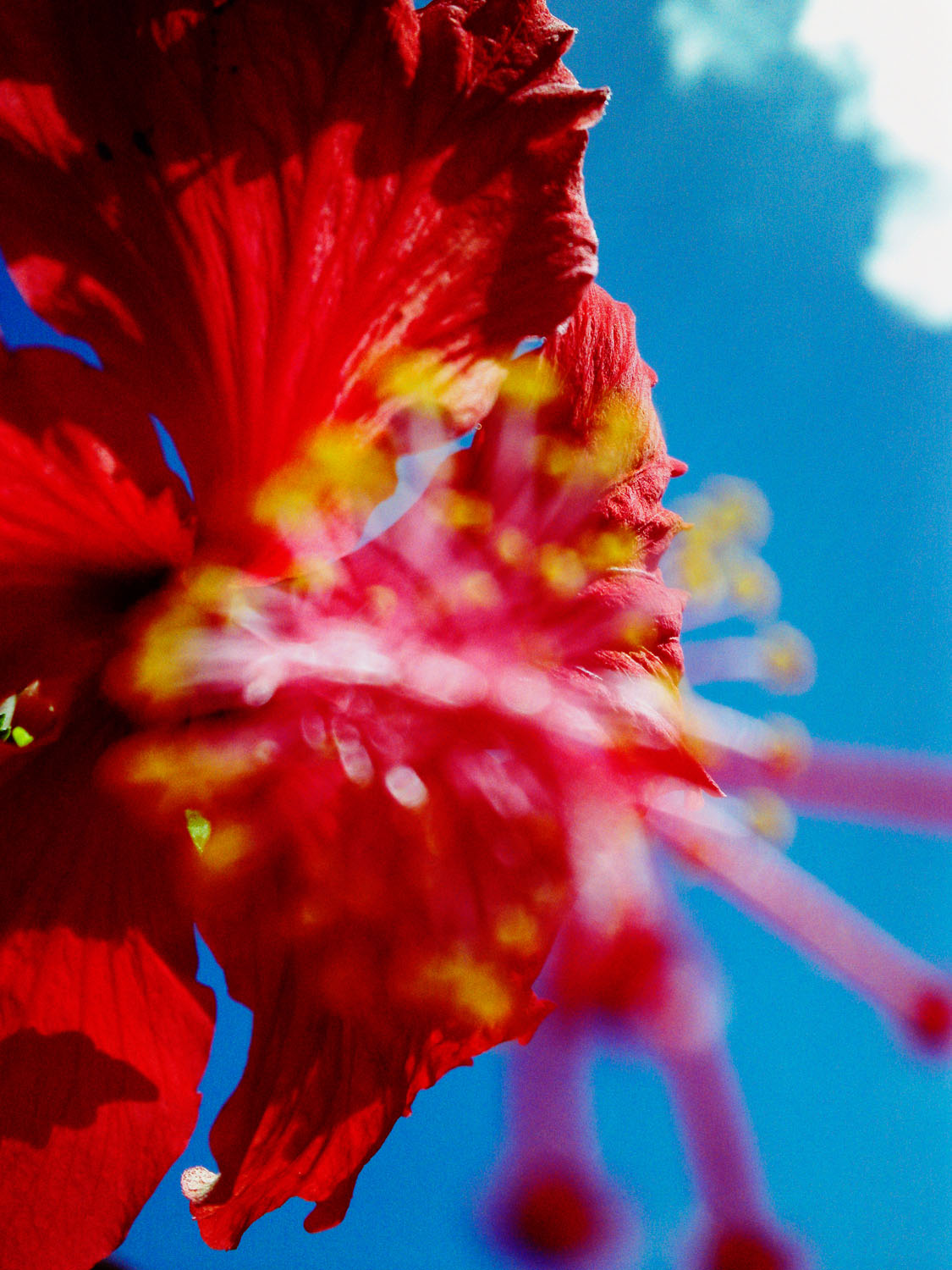  p>蜷川实花( i>ninagawa mika /i>),1972年10月18日出生于日本,女性