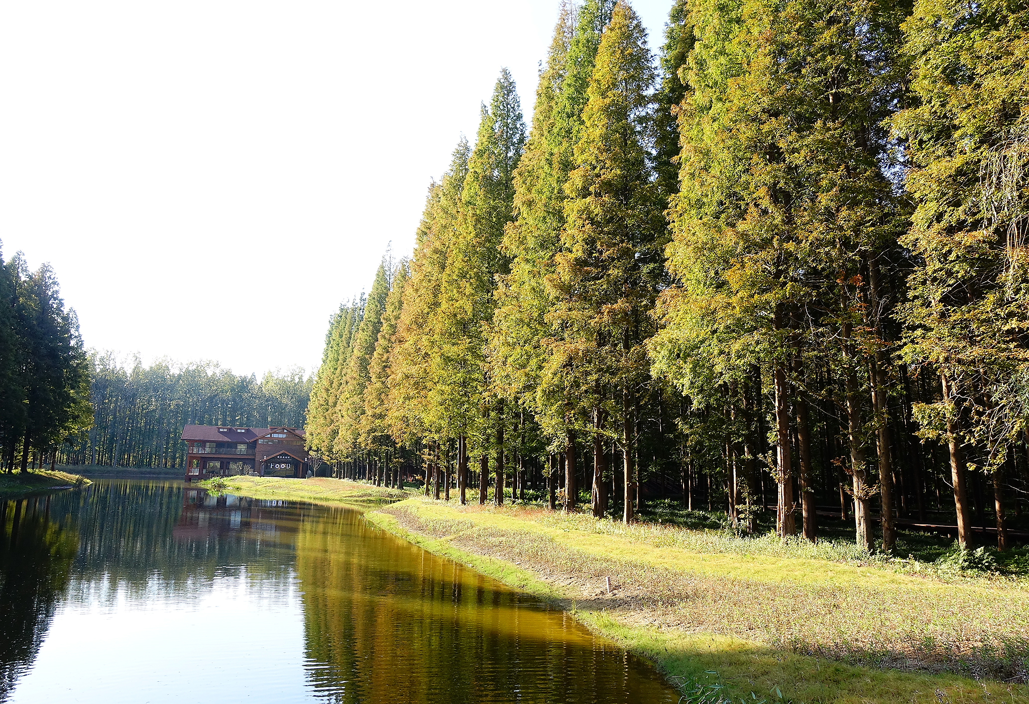 生态森林公园
