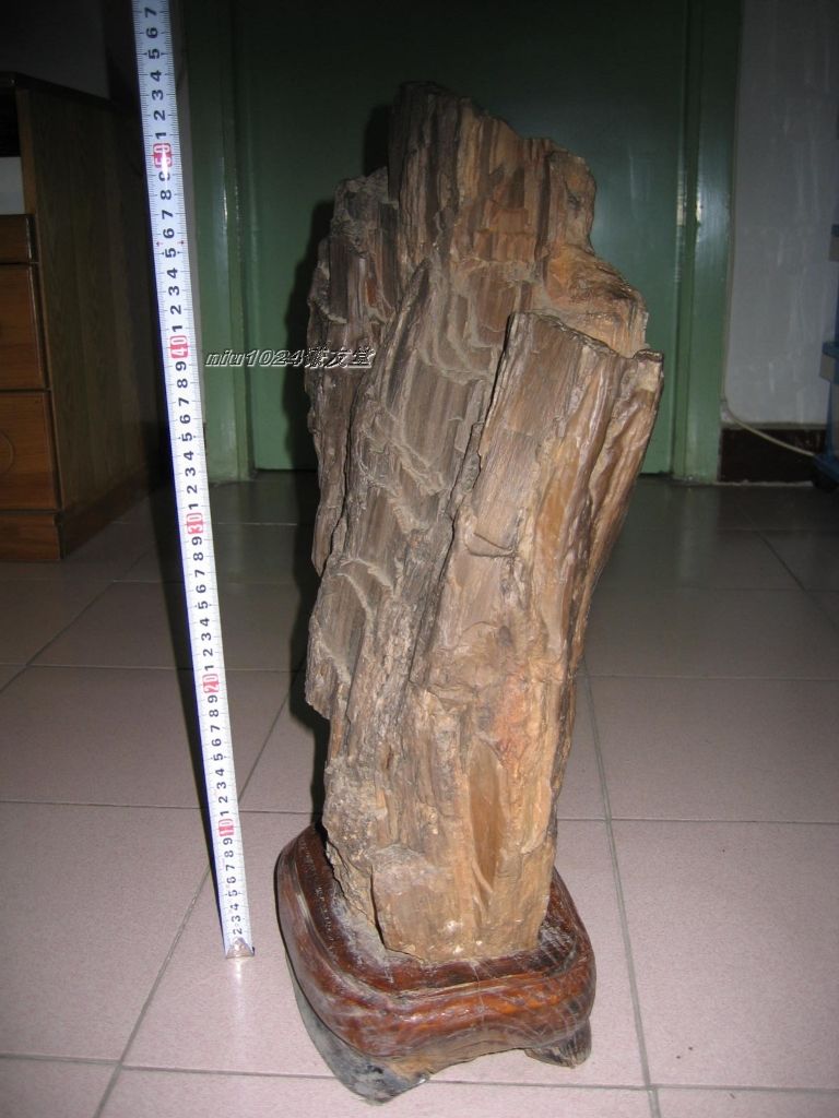  p>新疆奇台硅化木,又名 a href="#" data-lemmaid="7471220">木化石 