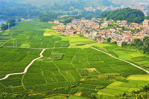  p>黄金镇,广西壮族自治区河池市罗城仫佬族自治县下辖镇, span class