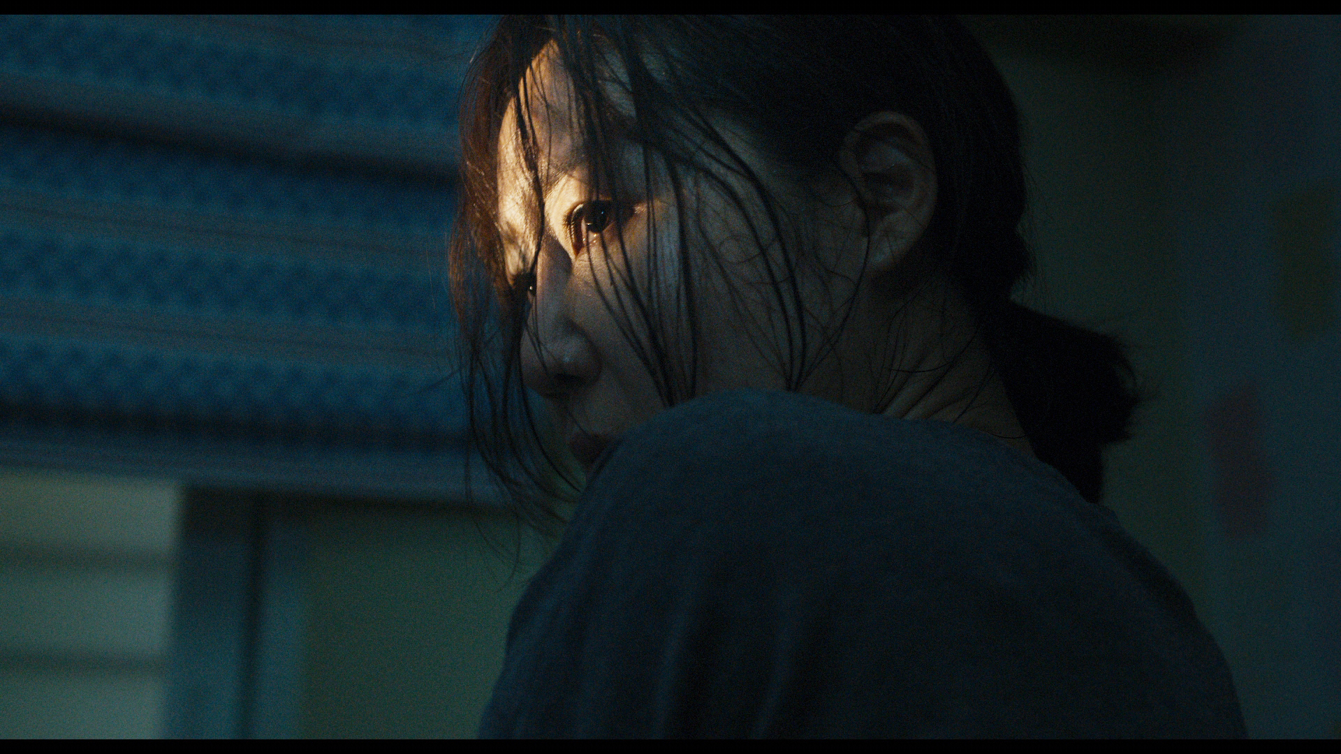 是由李彦禧执导, a target="_blank" href="/item/严智苑/8256667"