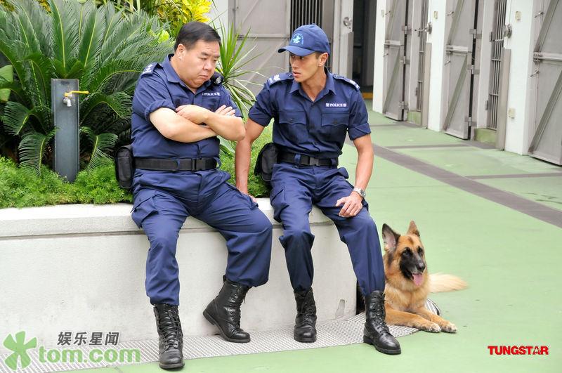  p>《老友狗狗》是2008年 a href="#" data-lemmaid="7051877">香港