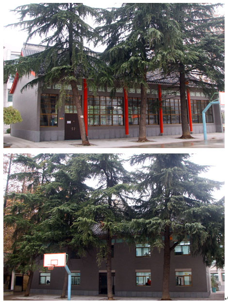 南京市第六中学