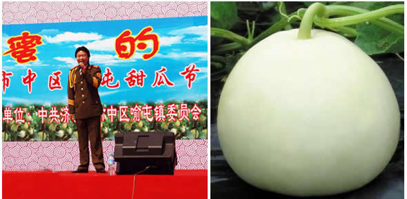 山东喻屯甜瓜节