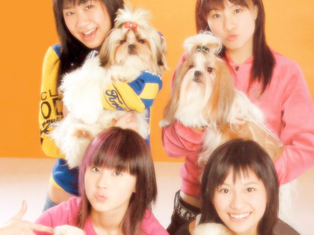  p>cookies是中国 a target="_blank" href="/item/香港/128775" data