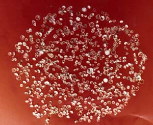  p>红宝石(ruby),是指颜色呈红色的 a target="_blank" href="/item