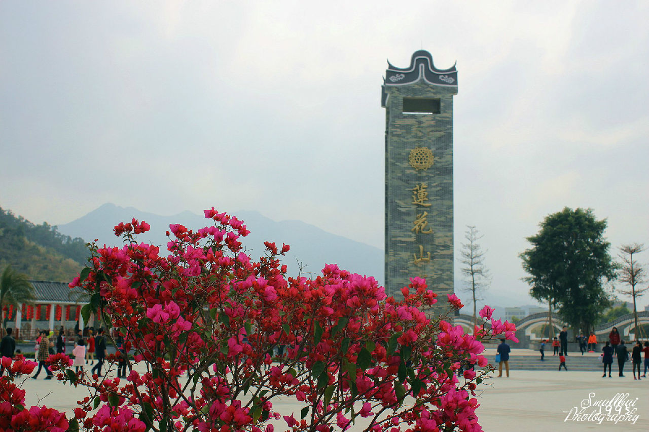 莲花山公园