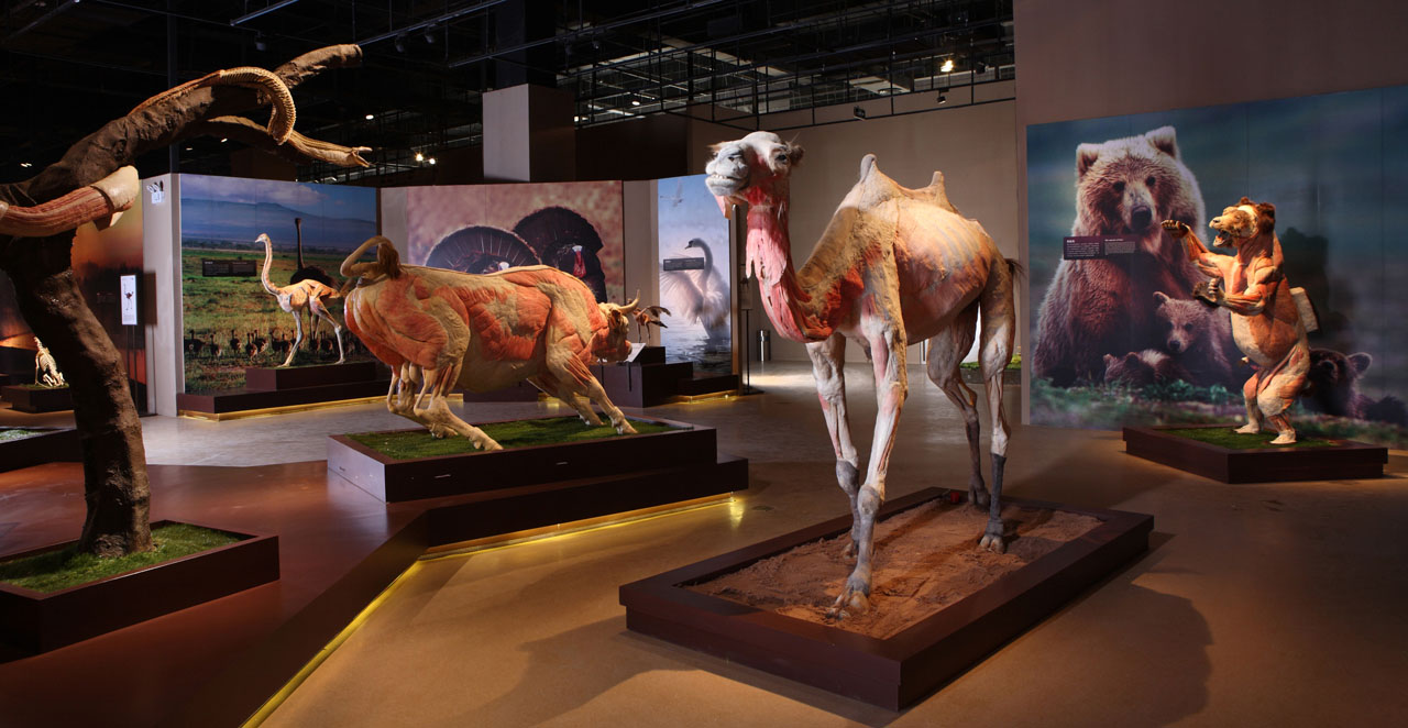 生命奥秘博物馆