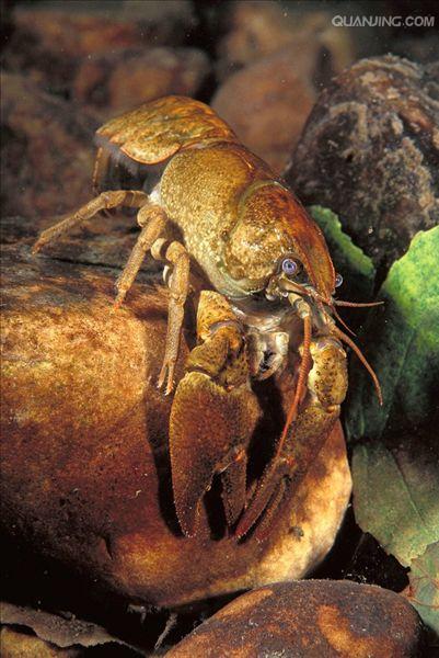 5万平方千米,在 a target="_blank" href="/item/南冰洋/3594117"