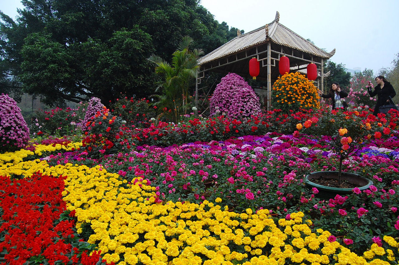  p>深圳人民公园位于深圳市 a target="_blank" href="/item/罗湖区