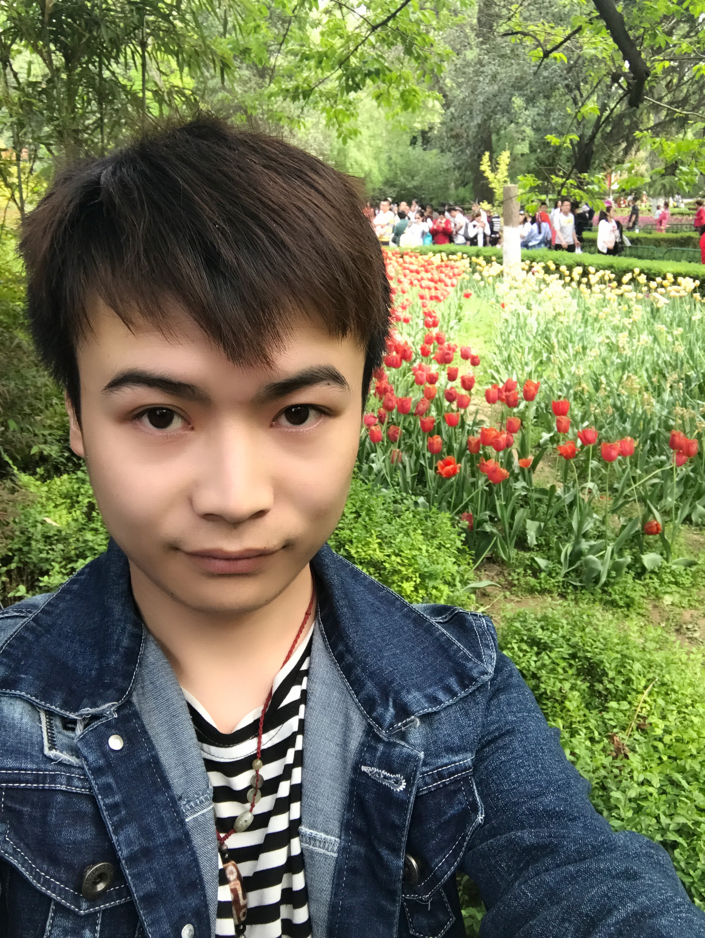 朱小龙