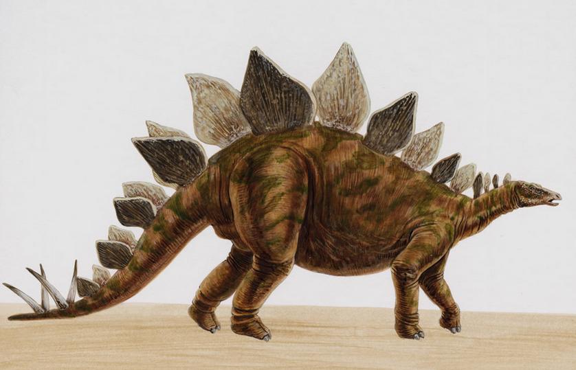  p>恐龙(英文名:dinosaur),是指三角龙,现代鸟类和梁龙最近的共同祖先