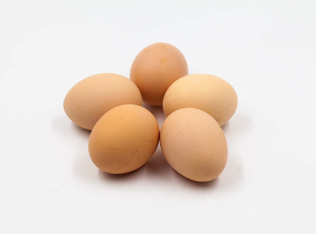5,一购买时1柴鸡蛋较小,一般在42～53克之间且大小重量相对不均匀