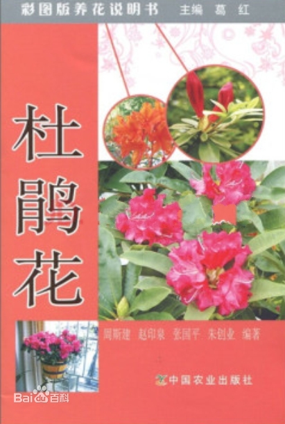 杜鹃花(彩图版养花说明书)