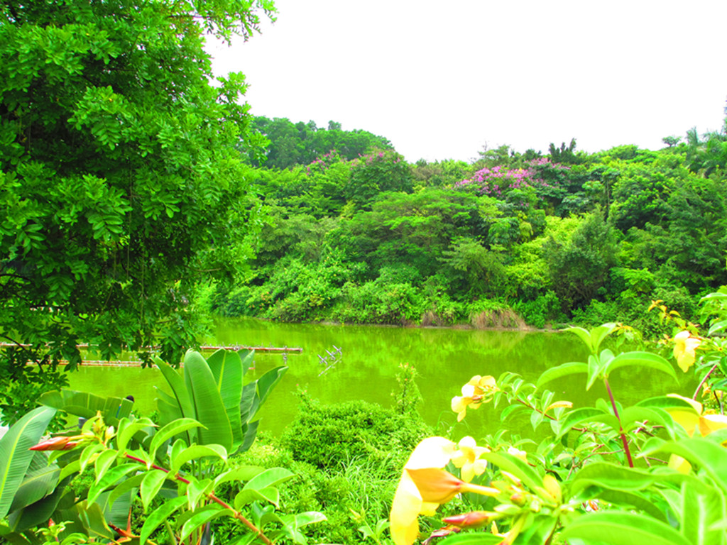 data-lemmaid="9402203">园博园 /a>"),地处深圳市深南大道竹子林西段