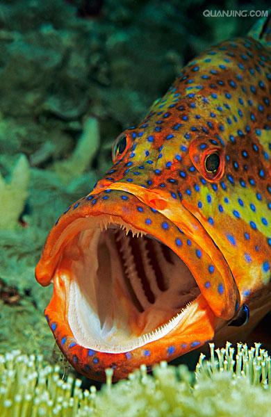 马尔代夫共和国