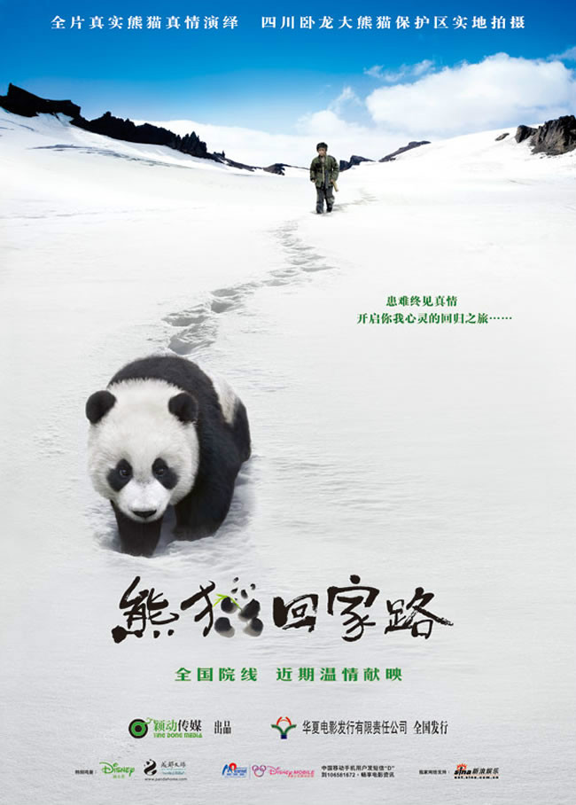 熊猫回家路
