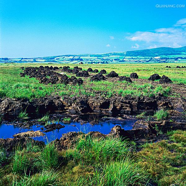  p>泥炭沼泽(peat mire)是泥炭地质学,指土壤剖面发育有泥炭层的沼泽.