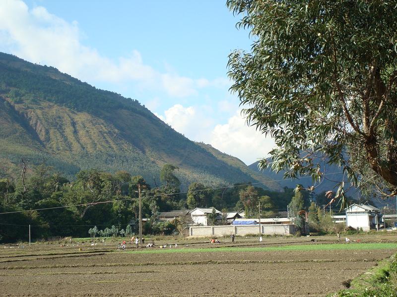 data-lemmaid="3968667">洱源县 /a>右所镇,地处右所西边,距右所镇