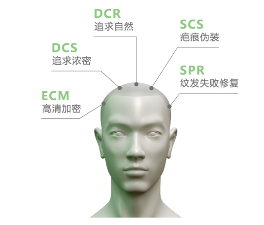 纹发_百度百科