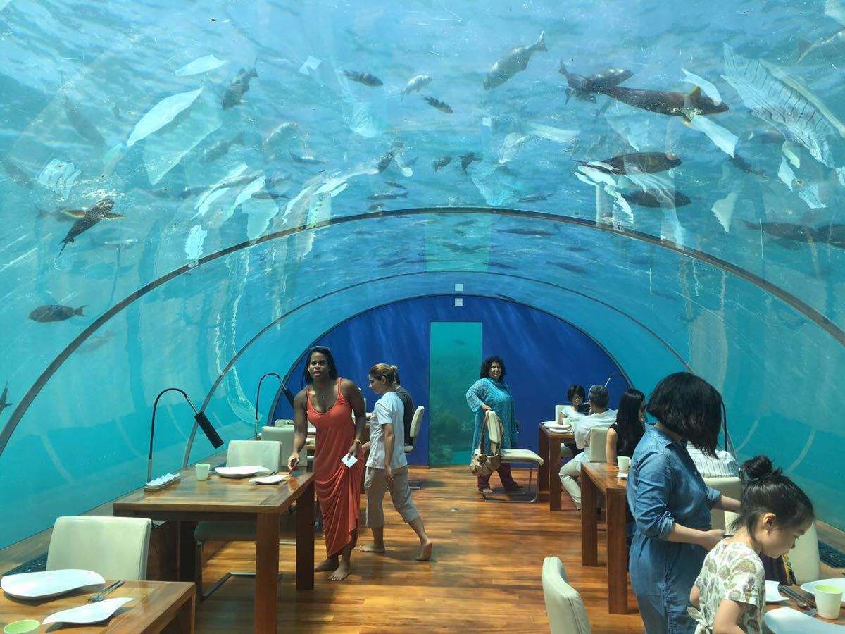  p>海底餐厅,是指在海平面以下6米处的餐馆,餐厅外层是透明的 a href=