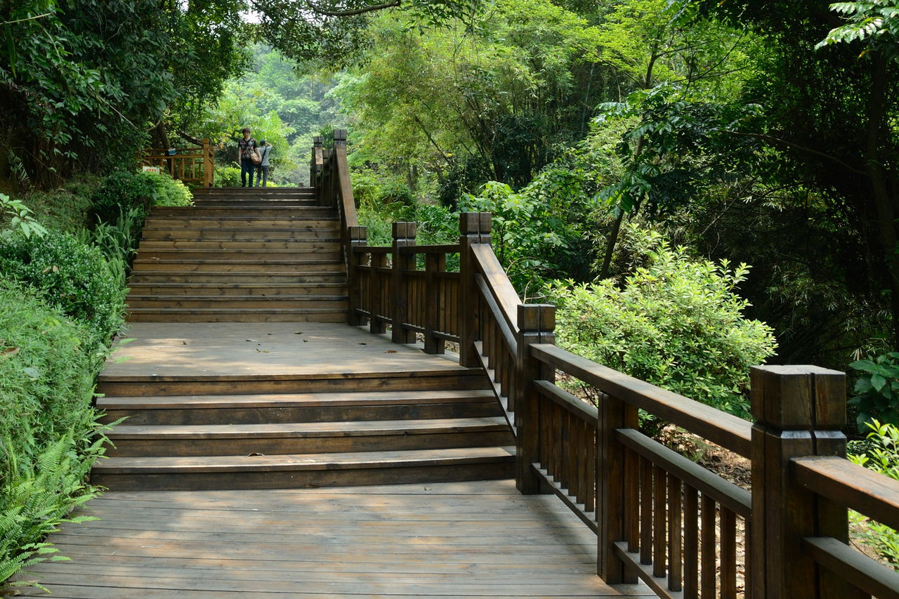  p>天鹿湖森林公园位于广州市黄埔区东北部,规划经营面积880公顷.