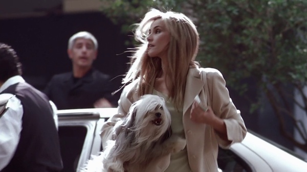 爱情是狗娘amoresperros(2000)