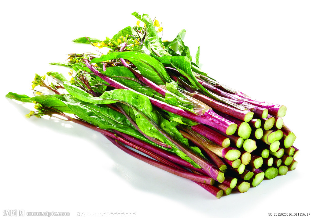  p>红菜头是 a target="_blank" href="/item/藜科">藜科 /a> a