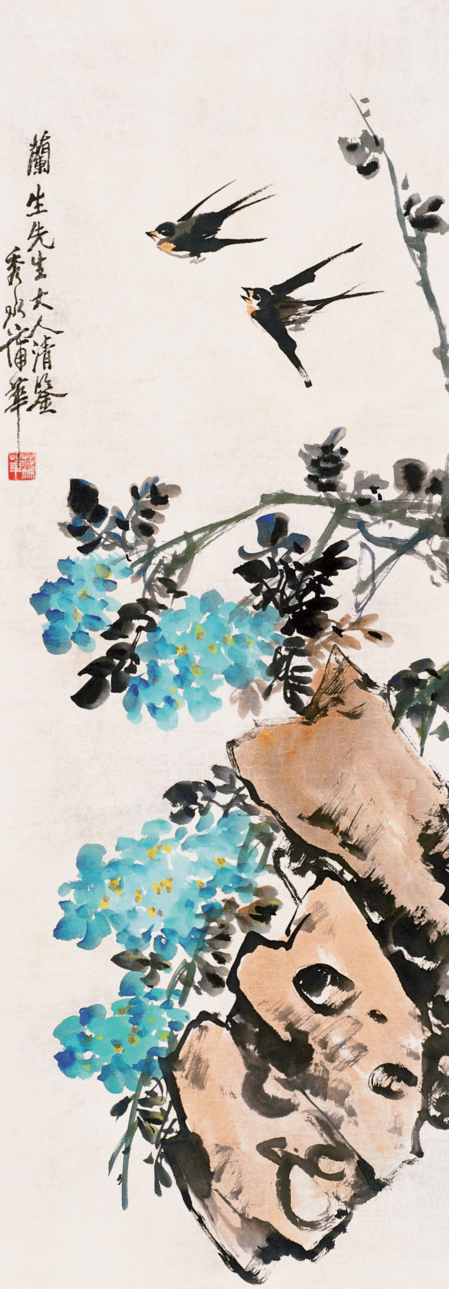 蒲华