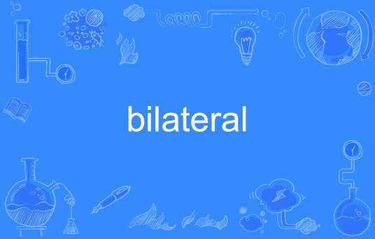 bilateral_百度百科