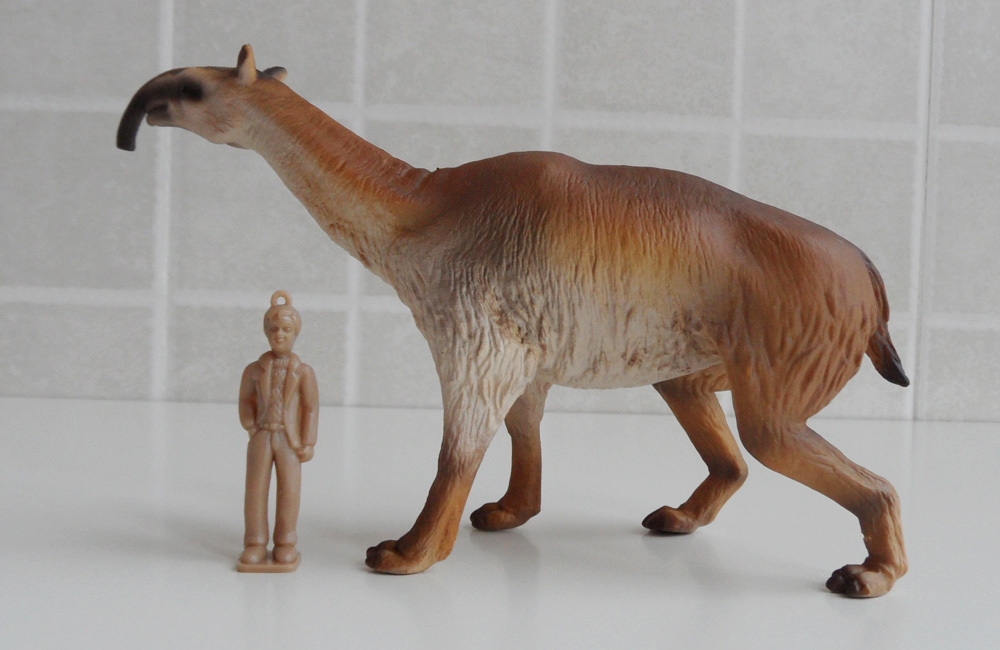 后弓兽(macrauchenia)