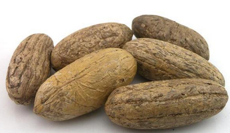  p>酒椰(学名: i>raphia vinifera /i> beauv.