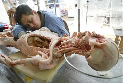 冯·哈根斯生物塑化(大连)有限公司