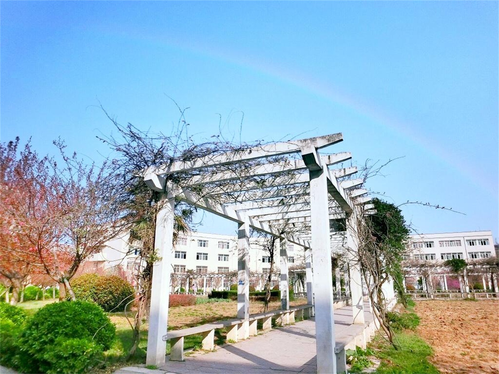 西安财经大学行知学院