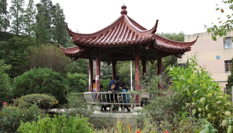 桐城市天城高级中学