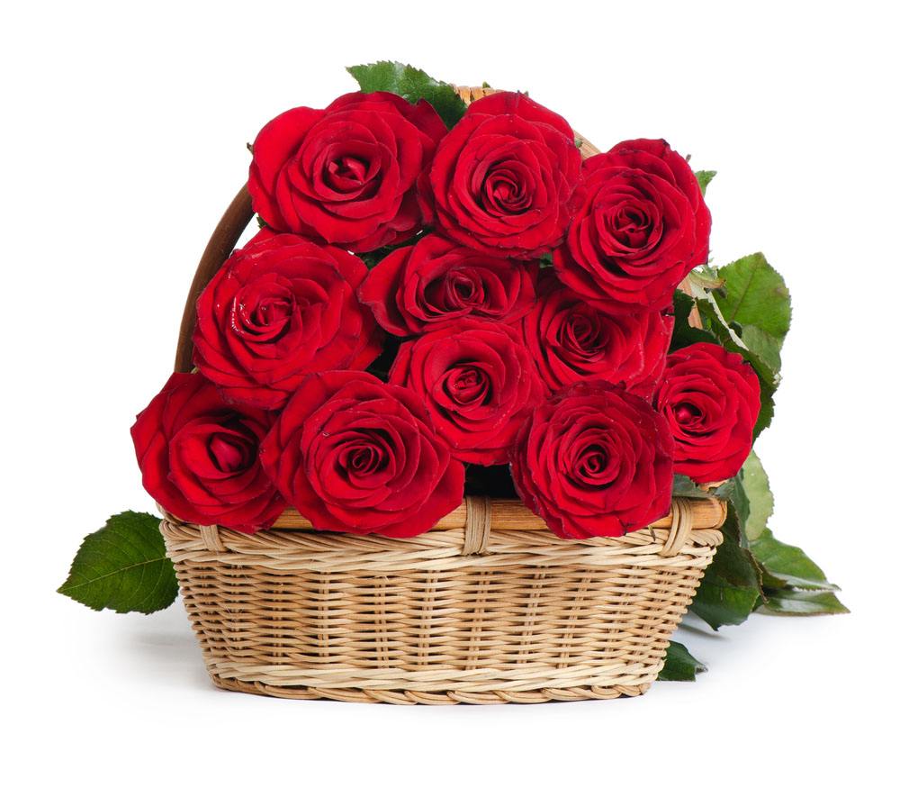 十一朵玫瑰的寓意(十一朵红玫瑰的寓意) - 0415花卉网