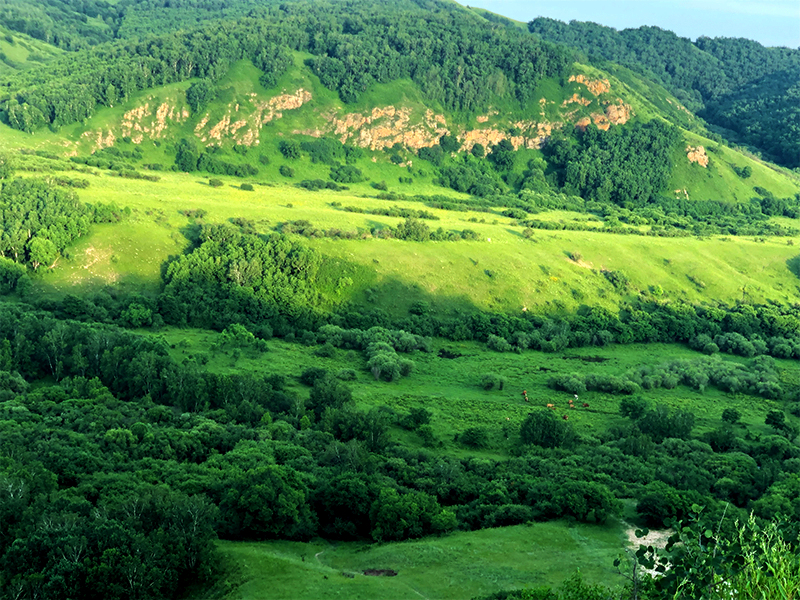 御道口草原风景区