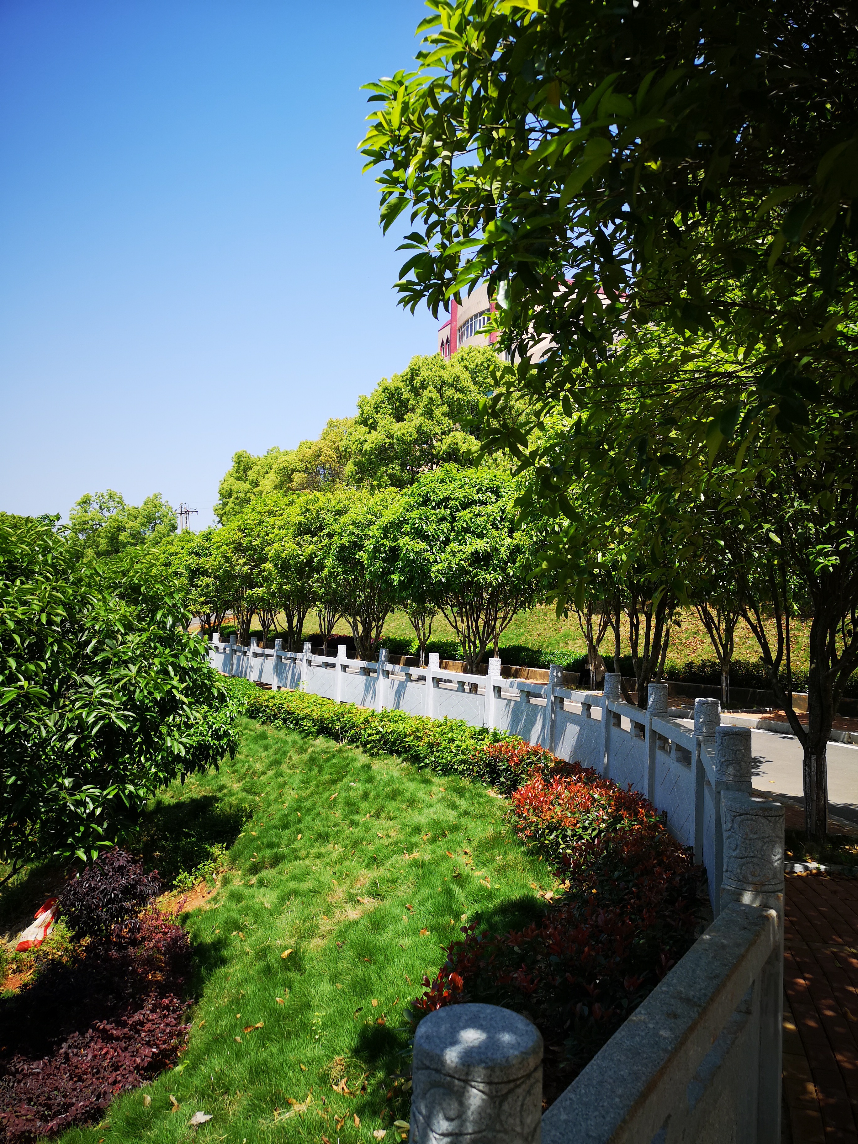 祁东县育贤中学