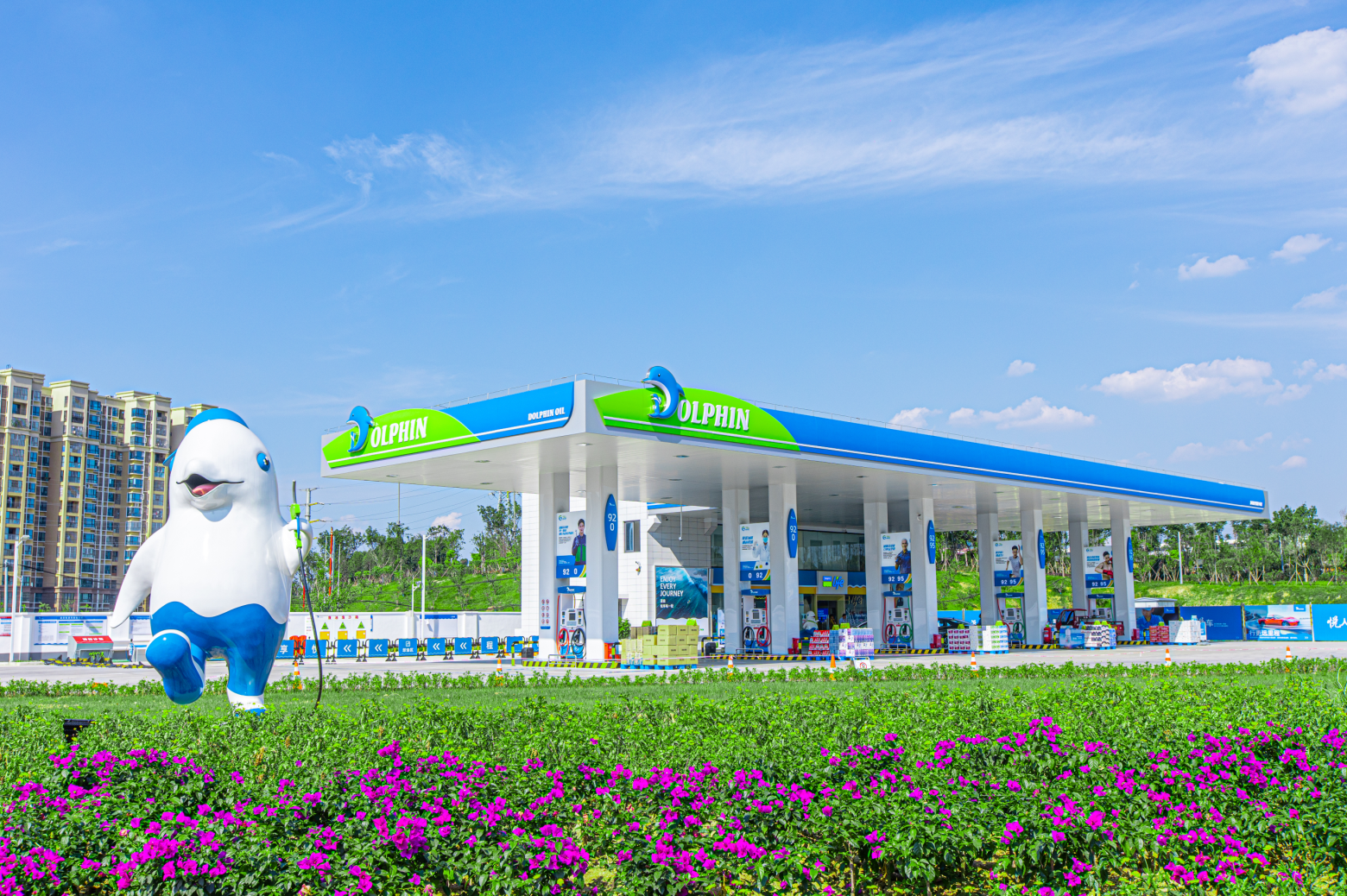 道森能源 dolphin