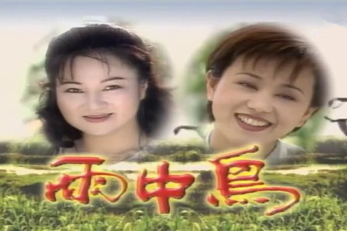  p>《雨中鸟》是白冰冰,孙翠凤,赵永馨主演的闽南语电视剧集,该剧于