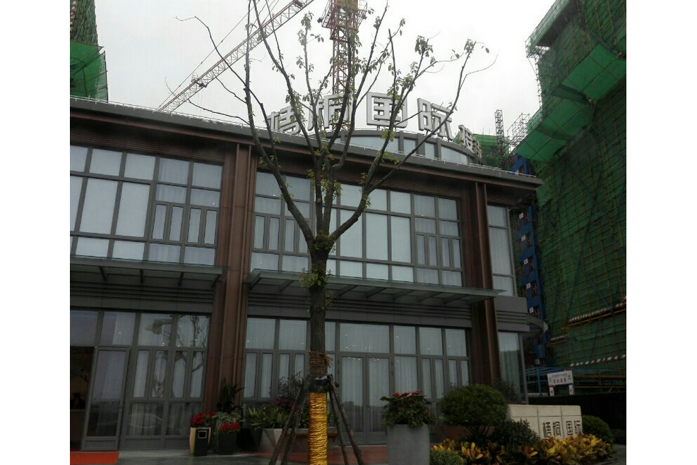  p>梧桐国际位于上海市浦东周浦,由 a target="_blank" href="/item