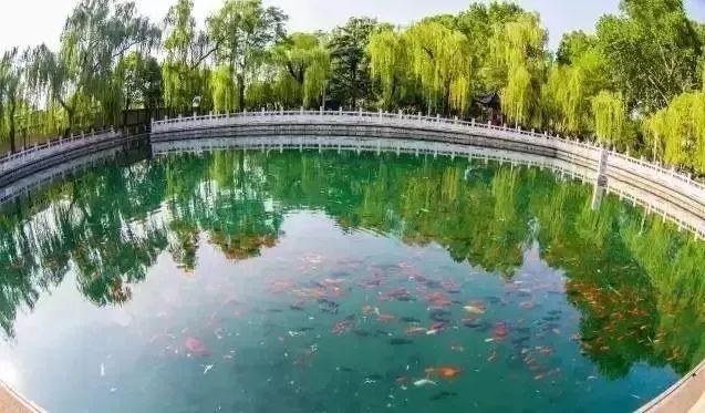 安阳珍珠泉