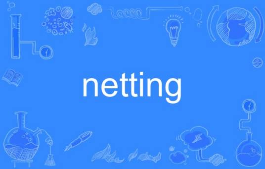 netting_百度百科