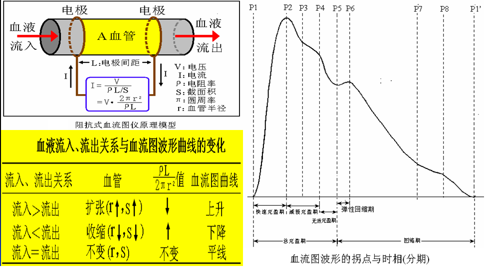  p>脑血流图又叫脑阻抗图,它是利用电阻抗变化的原理,描记随心脏跳动