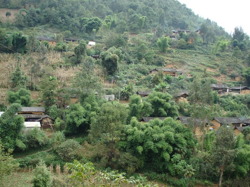 小水井村