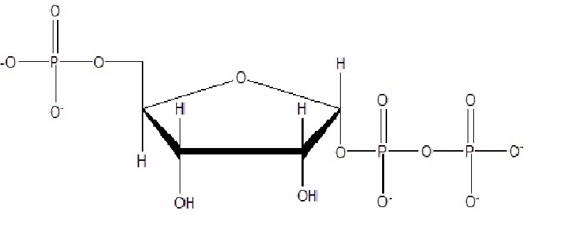  p>prpp全称为 a target="_blank" href="/item/5-磷酸核糖/12713265"