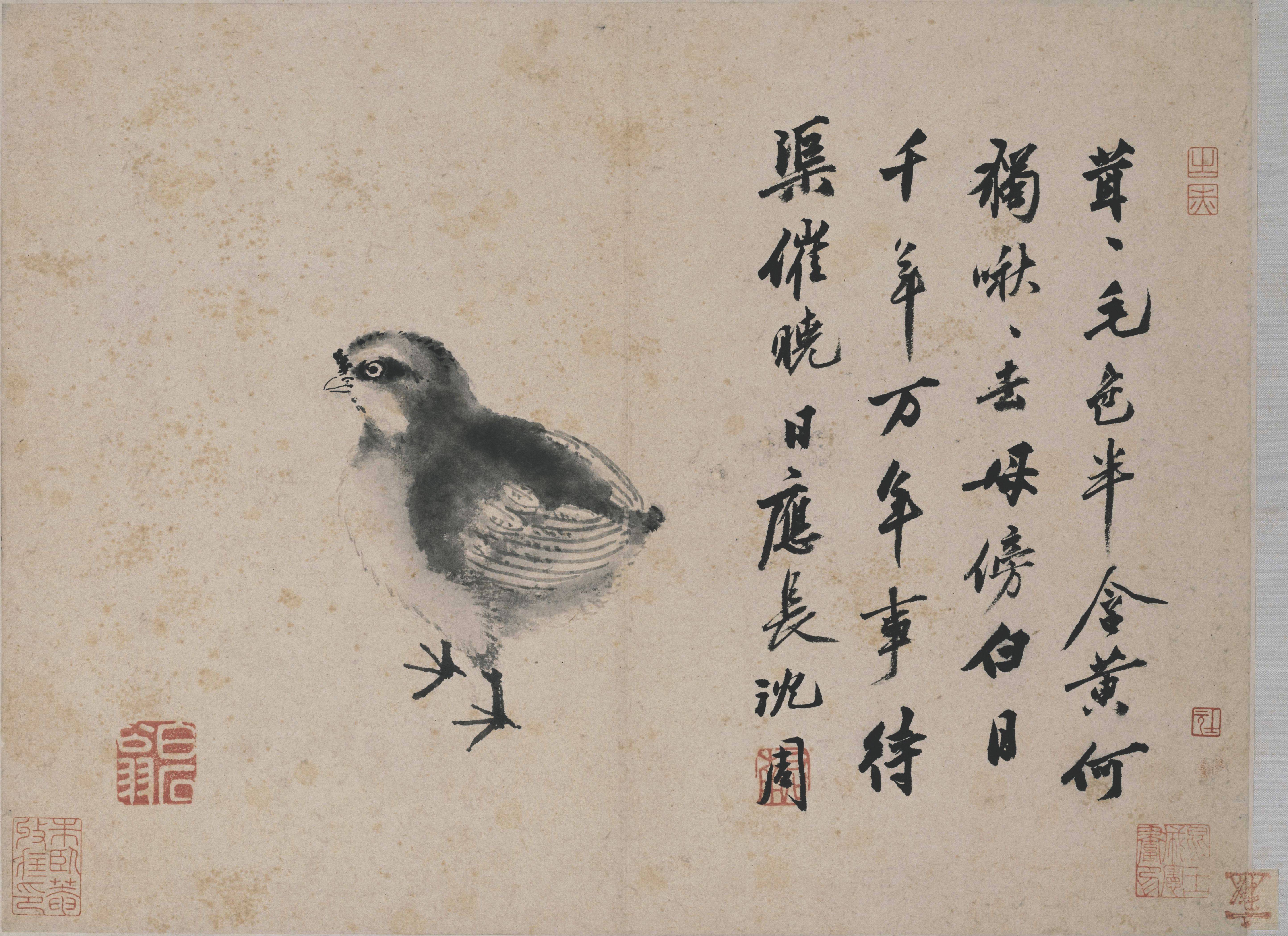 明沈周卧游图
