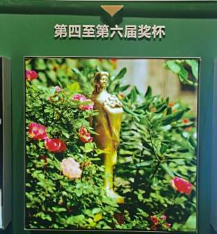 <p>第四届（1981）至第六届（1983）奖杯